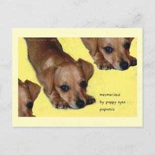 Pupnosis Haiku Art Postcard - inkasserbart vykort