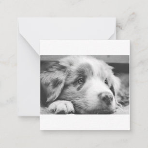 Puppabb, australian shepherd anteckningskort