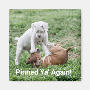 Puppar med Baby Boxer Magnet