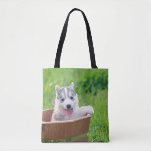 Puppen i Siberian husky i en pott Tygkasse