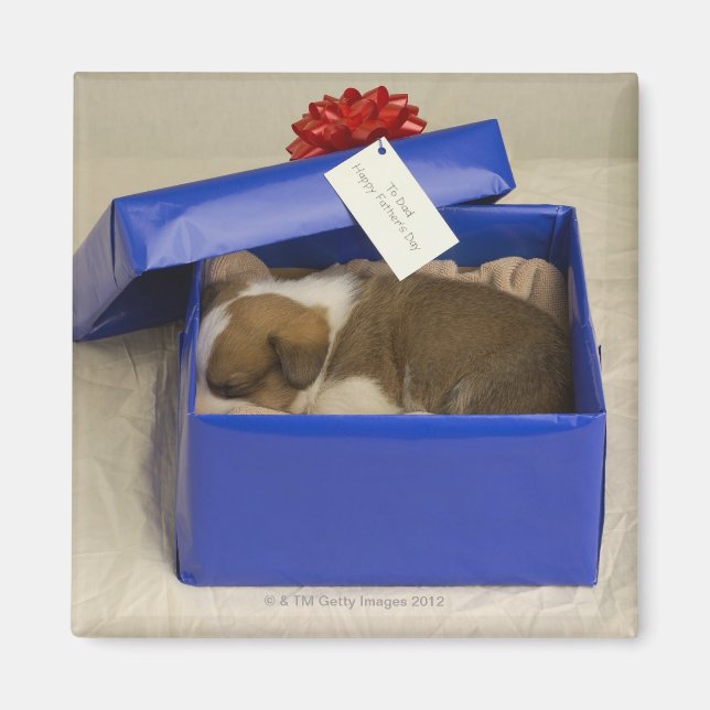 Puppen sover i en presentlåda magnet (Framsidan)