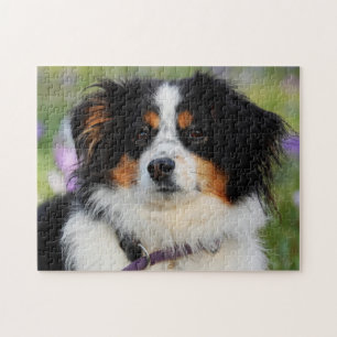 Puppen Tri Färg Australian shepherd Pussel