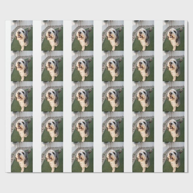 Pupper Socks Presentpapper (Platt)