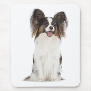 Pupperna av papillon Puppy Mamma Hund älskare-val Musmatta