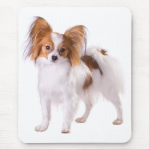Pupperna av papillon Puppy Mamma Hund älskare-val Musmatta