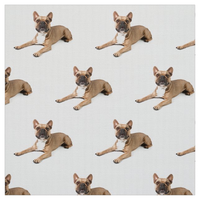 Puppie Tyg (Provkarta)