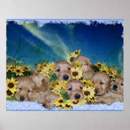 PUPPIER OCH BLOMMOR - POSTER AV GOLDEN RETRIEVER