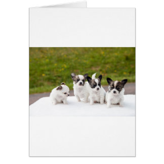 puppies-453532.jpg hälsningskort