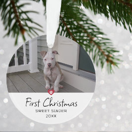 Puppies första julfoto