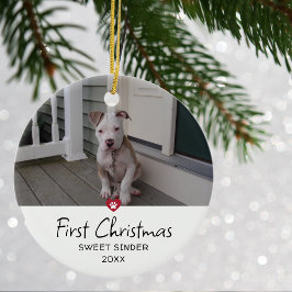 Puppies första julfoto julgransprydnad keramik