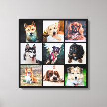 Puppies Hundar Instagram Photos
