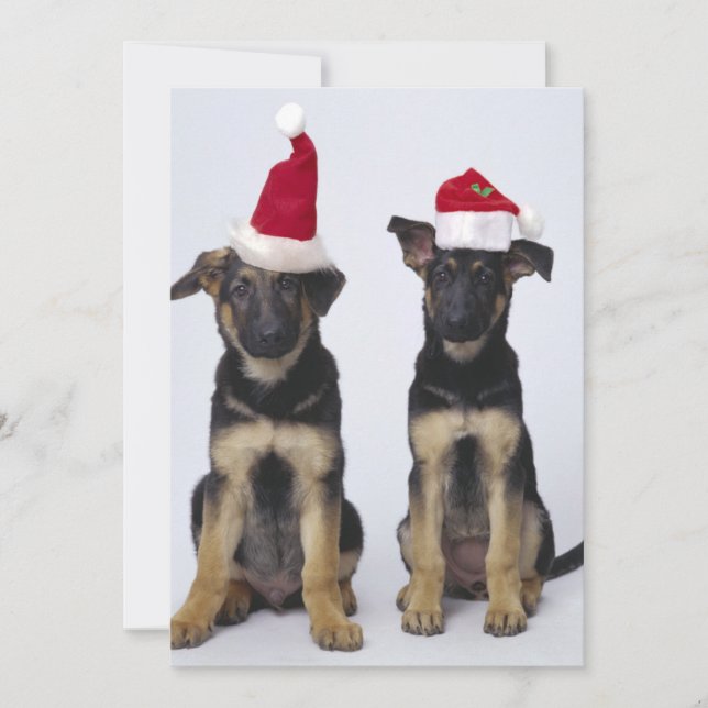 Puppies med tomathattar julkort (Framsida)