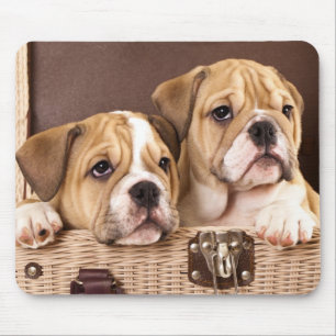 Puppies Mousepad (engelska bulldog) Musmatta