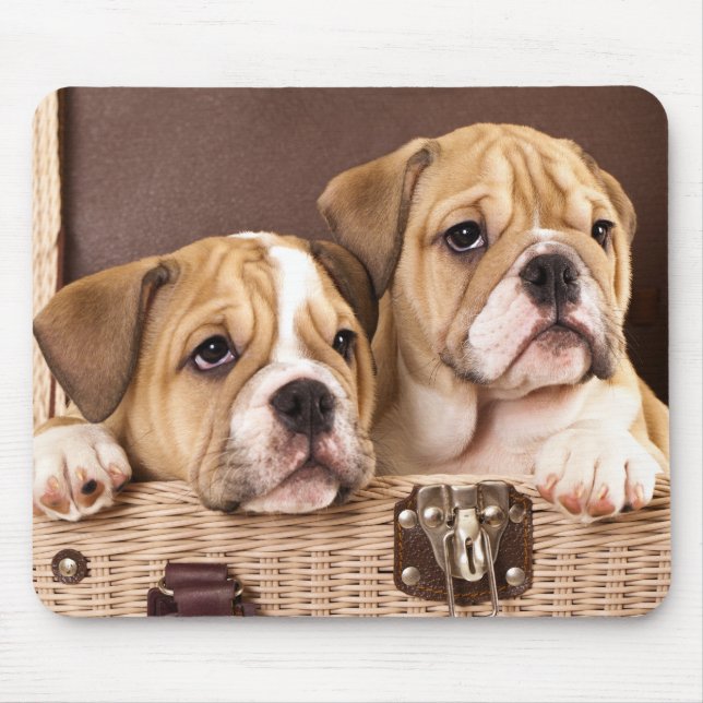 Puppies Mousepad (engelska bulldog) Musmatta (Framsidan)
