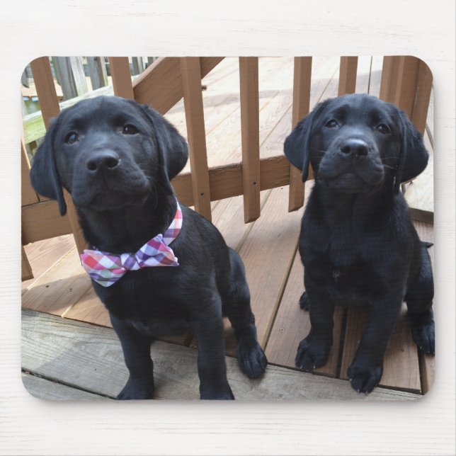 Puppies Mousepad Musmatta (Framsidan)