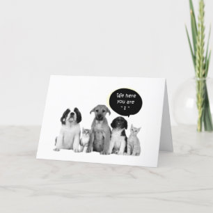 PUPPIES SAY LYCKLIG "1st BIRTHDAY" Kort