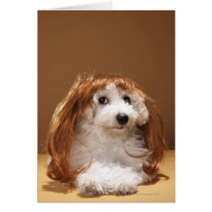 Puppiklädd med ingefärgwik hälsningskort