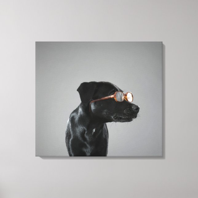 Puppiklädda glas canvastryck (Framsida)