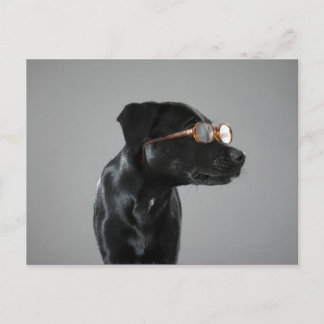 Puppiklädda glas vykort