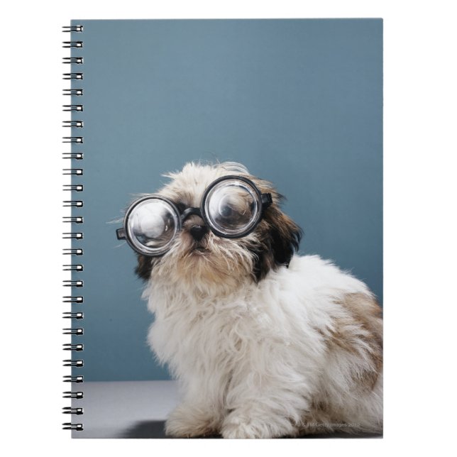 Puppiklädda tjocka glasögon anteckningsbok (Framsidan)