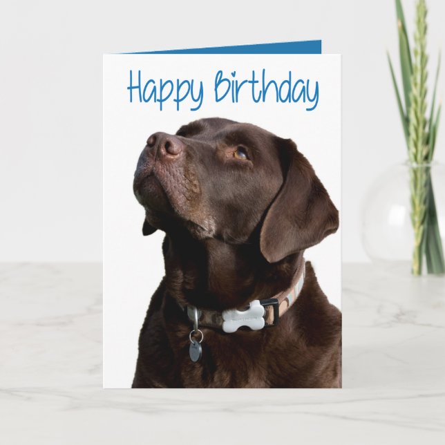 Puppingskortet Grattis på födelsedagen Brown Labra Kort (Framsida)