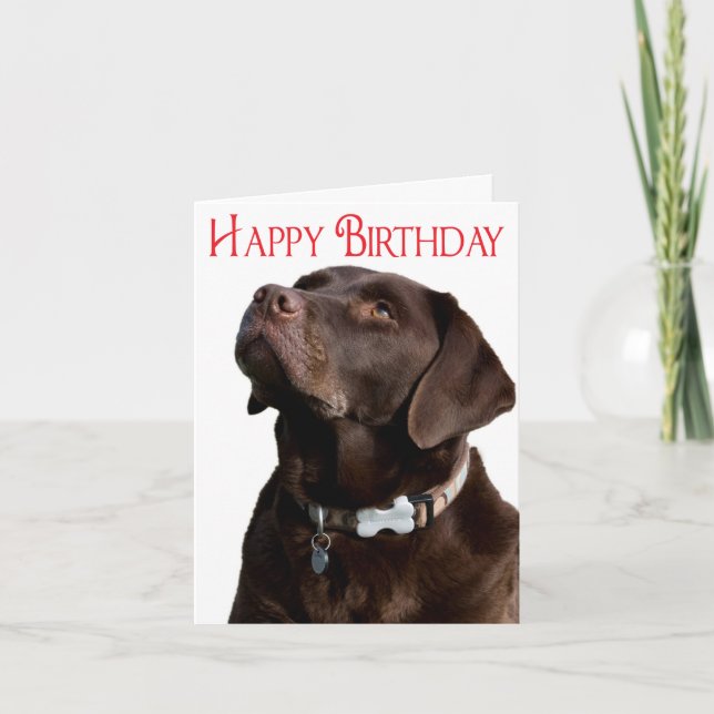 Puppingskortet Grattis på födelsedagen Brown Labra Kort (Framsida)