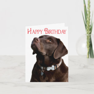 Puppingskortet Grattis på födelsedagen Brown Labra Kort