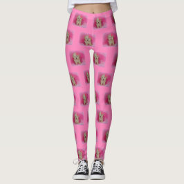 Pupplegeringar av maltipovalster leggings