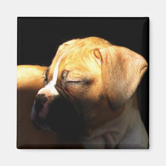 Puppmagnet för pipboxerdockor magnet (Framsidan)