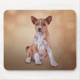 Pupprasen Basenji i Teckning Musmatta