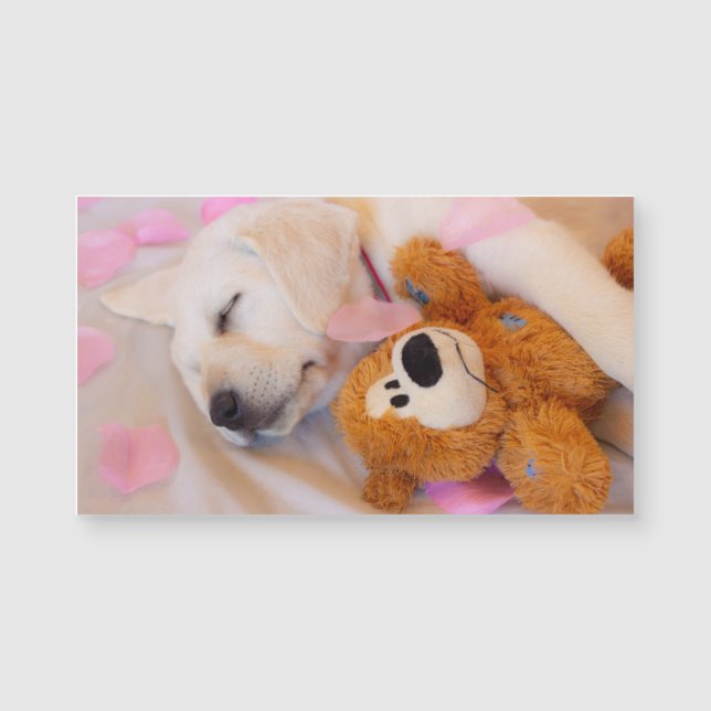 Puppskuddlar 02 (Framsida)