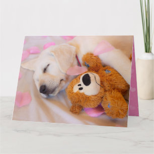 Puppskuddlar 02 kort