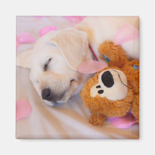Puppskuddlar 02 magnet (Framsidan)