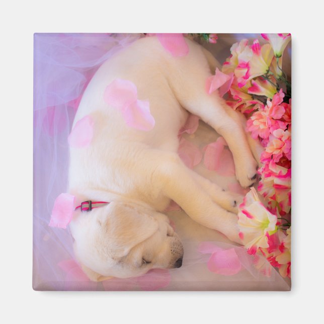 Puppskuddlar 02 magnet (Framsidan)