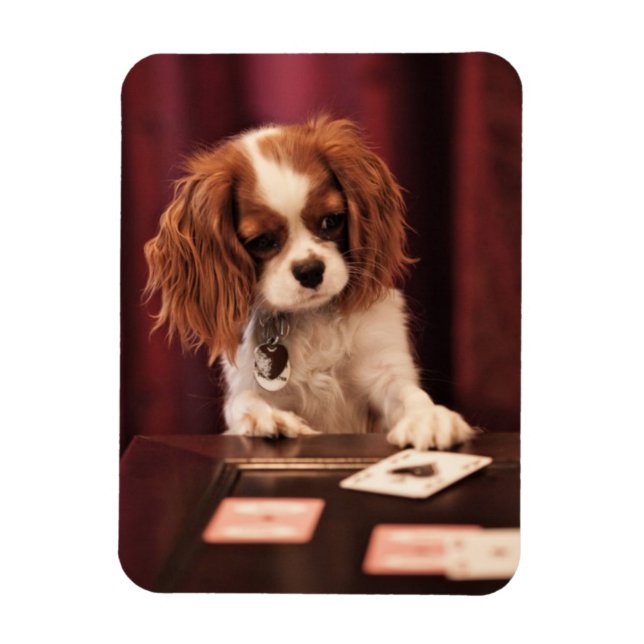 Puppspelningskort Magnet (Vertikal)