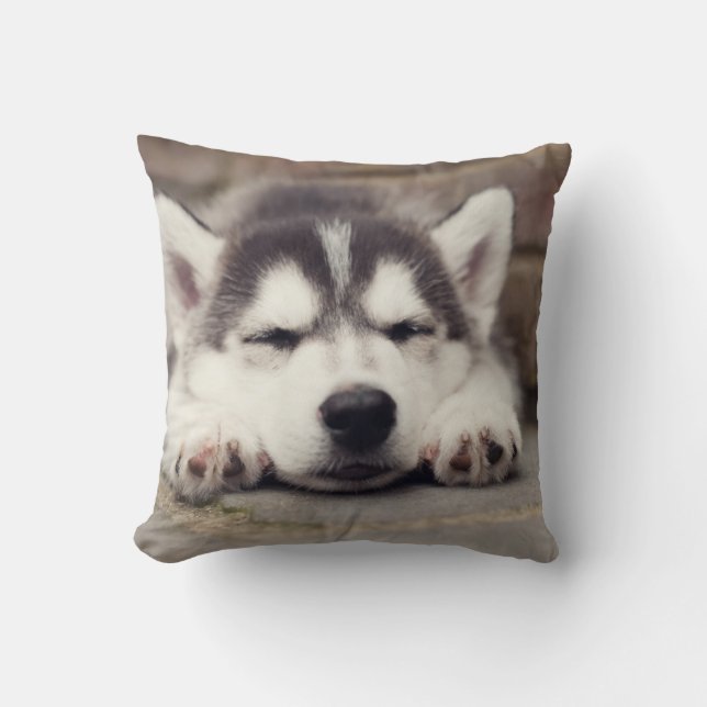 Puppsvällning av sötad Siberian husky Kudde (Framsida)