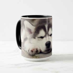 Puppsvällning av sötad Siberian husky Mugg