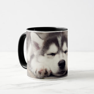 Puppsvällning av sötad Siberian husky Mugg