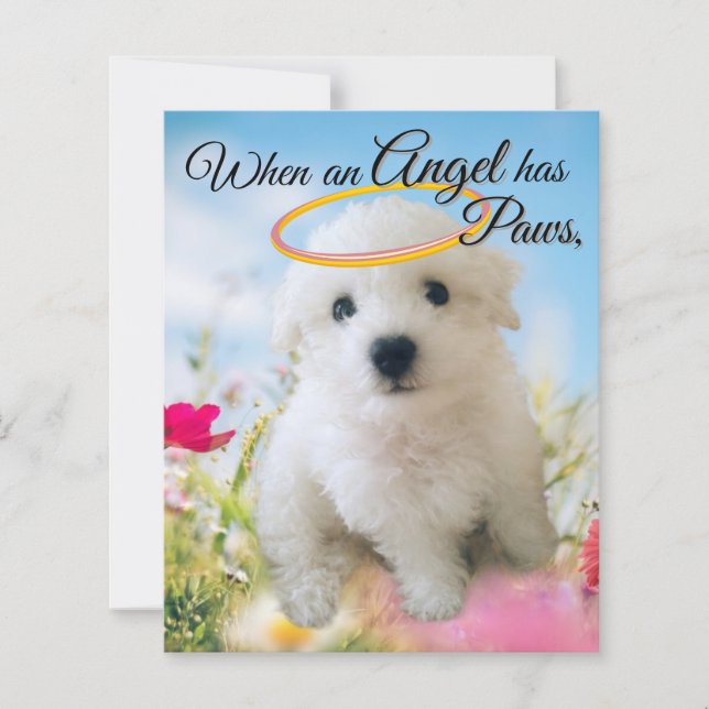 Puppy Angel  (Framsida)