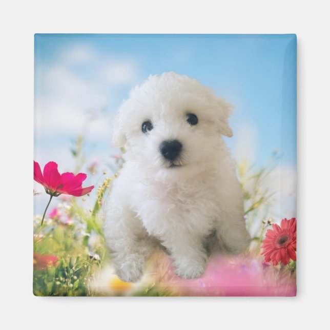 Puppy Angel Magnet (Framsidan)