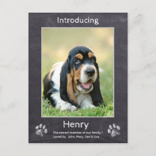 Puppy Announcement - Chalkboard New Puppy Hund Vykort