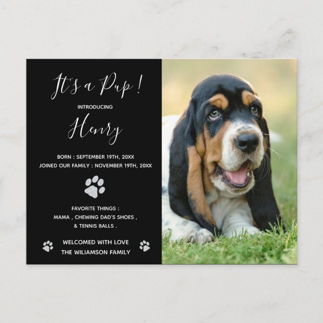 Puppy Announement Black Elegant Modern Glitter Vykort (Framsida)
