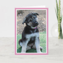 Puppy är min Valentine