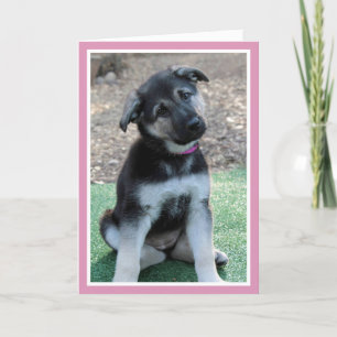 Puppy är min Valentine Helgkort