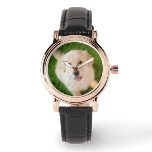 Puppy av guldfärgad riddare på gräs armbandsur
