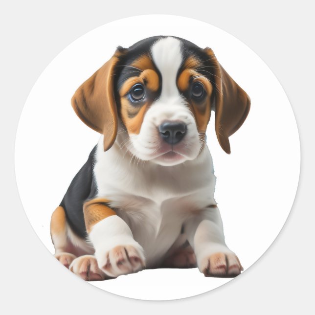 Puppy Beagle Runt Klistermärke (Framsida)