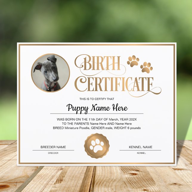 Puppy Birge Certificate Infoga fotokopia Skriv ut (Skapare uppladdad)