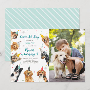 Puppy Birthday-inbjudan till Party Pawty Boy Inbjudningar