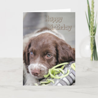 Puppy Birthday-kort Kort