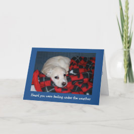 Puppy blir bra kort